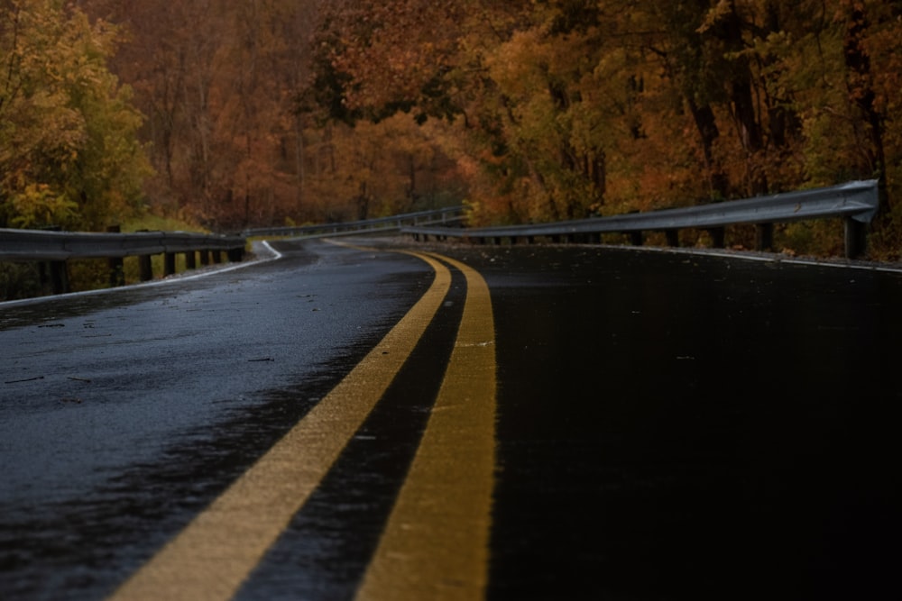 road near trees