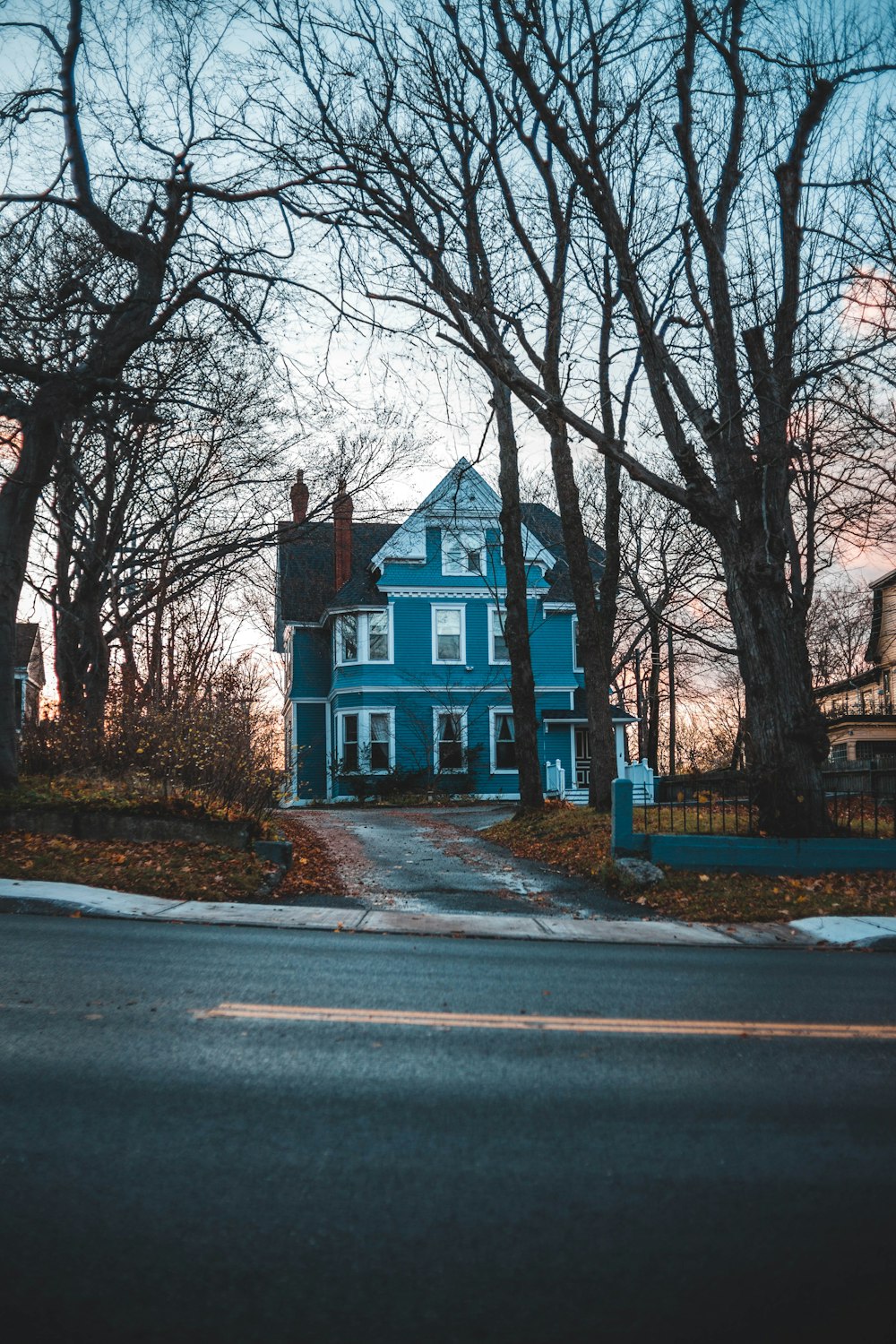 view photography of blue and gray house