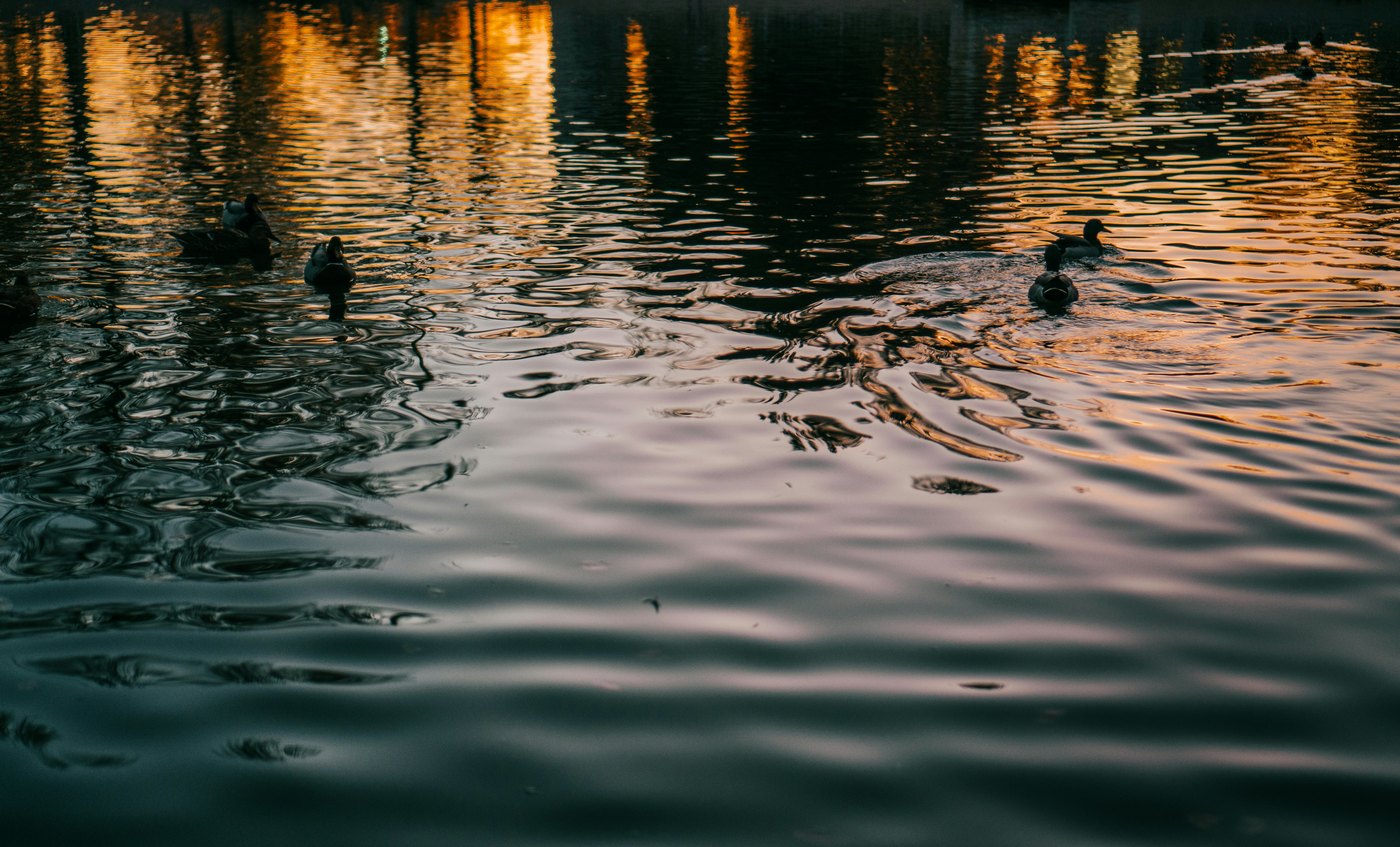 Photo by joshnygaard