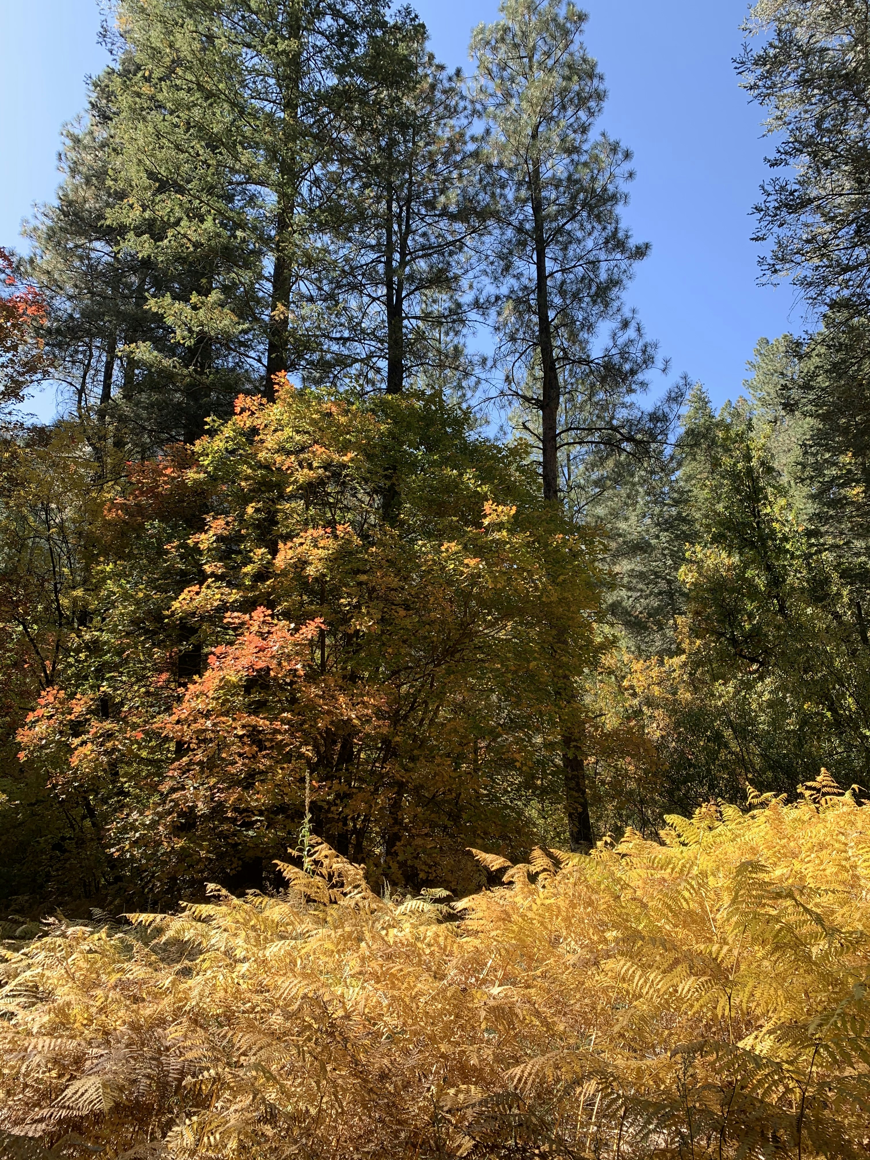 Photo by mannymisfit