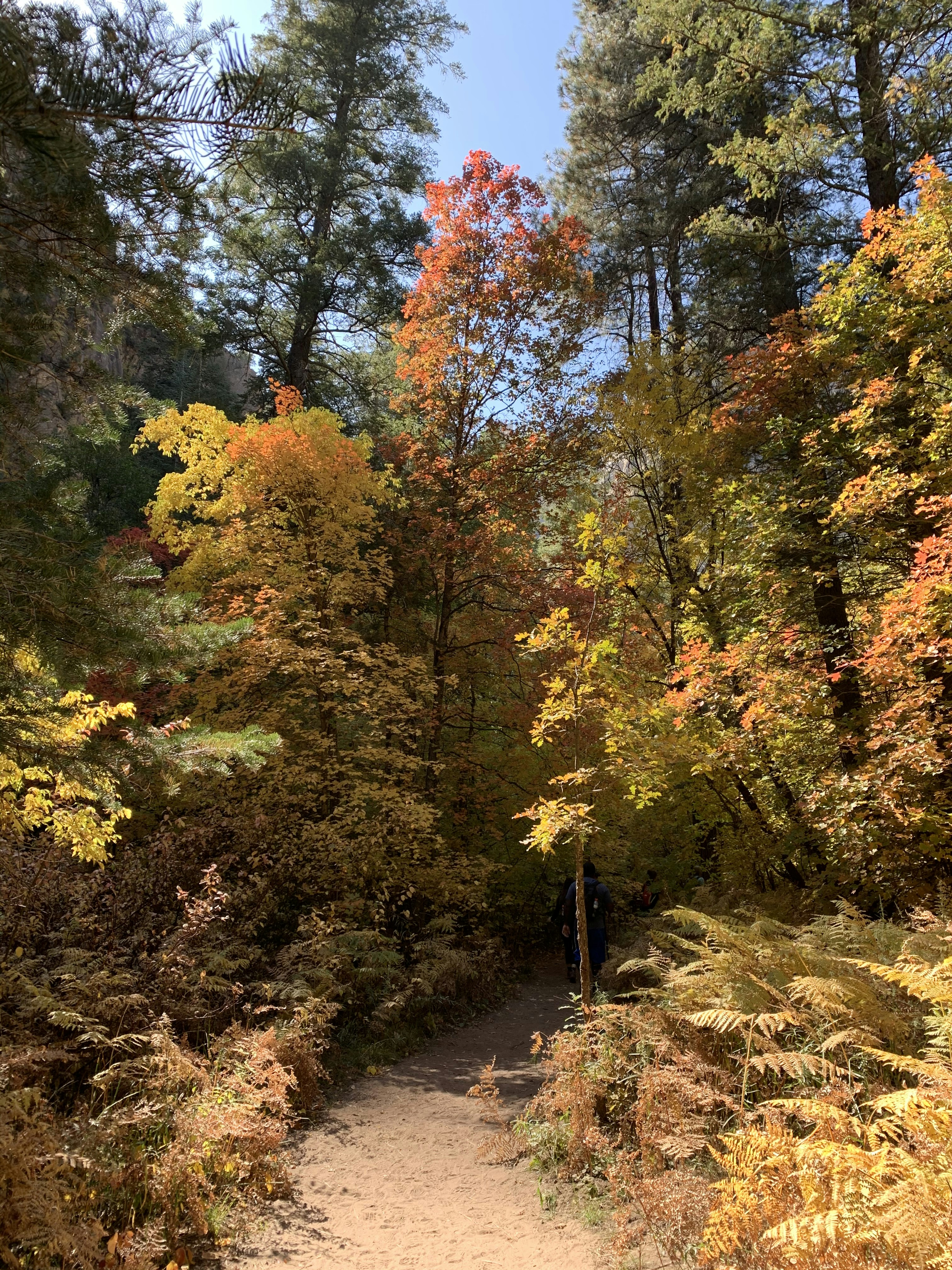 Photo by mannymisfit