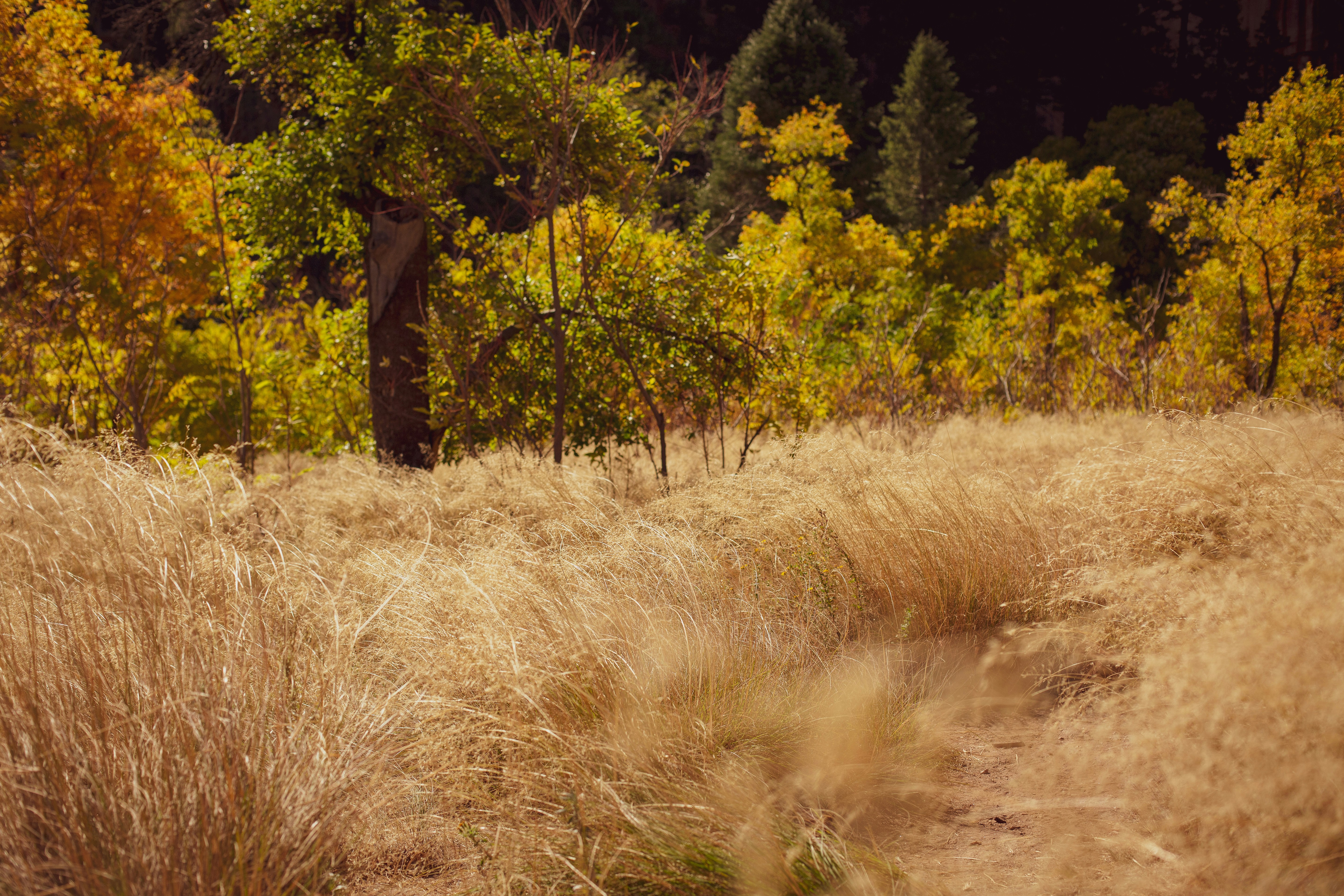 Photo by mannymisfit