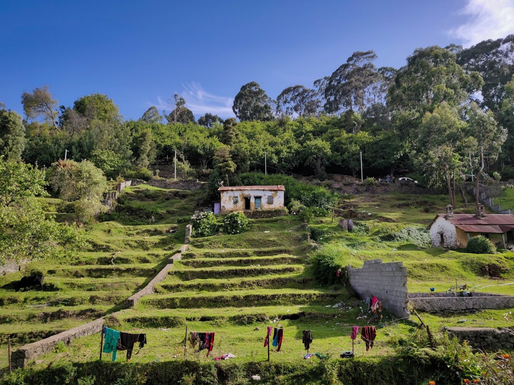 casa branca perto das árvores