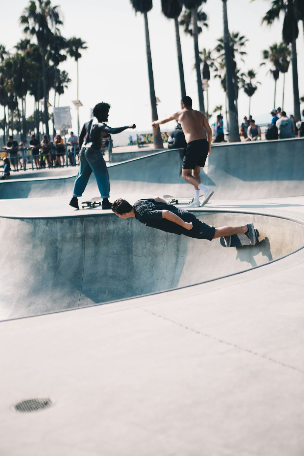 hommes faisant du skateboard pendant la journée