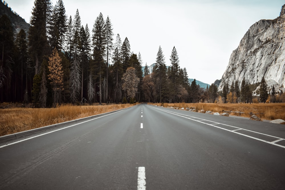 empty road