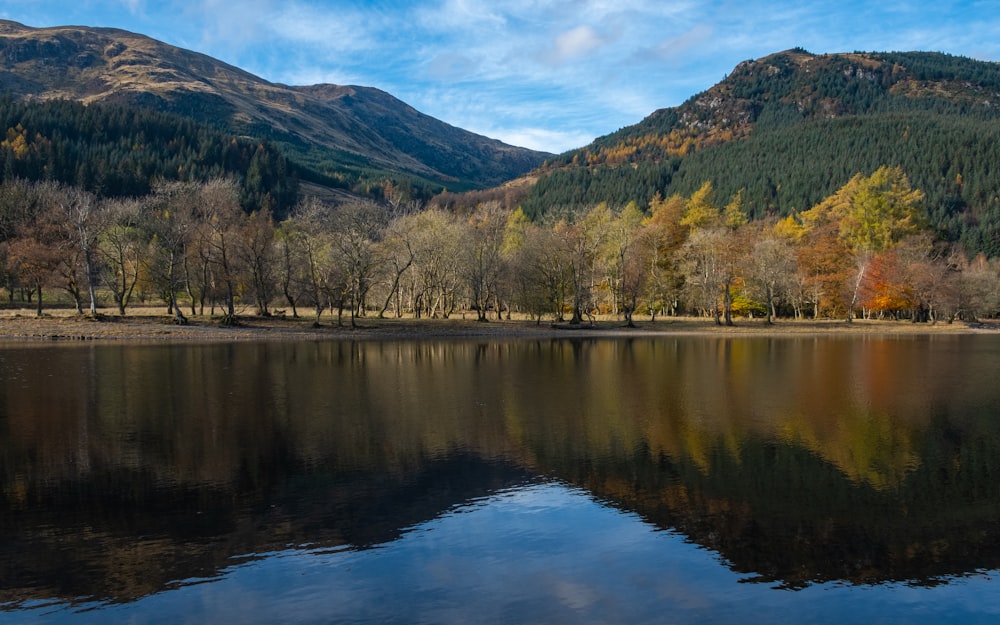 body of water showing reflection of trees