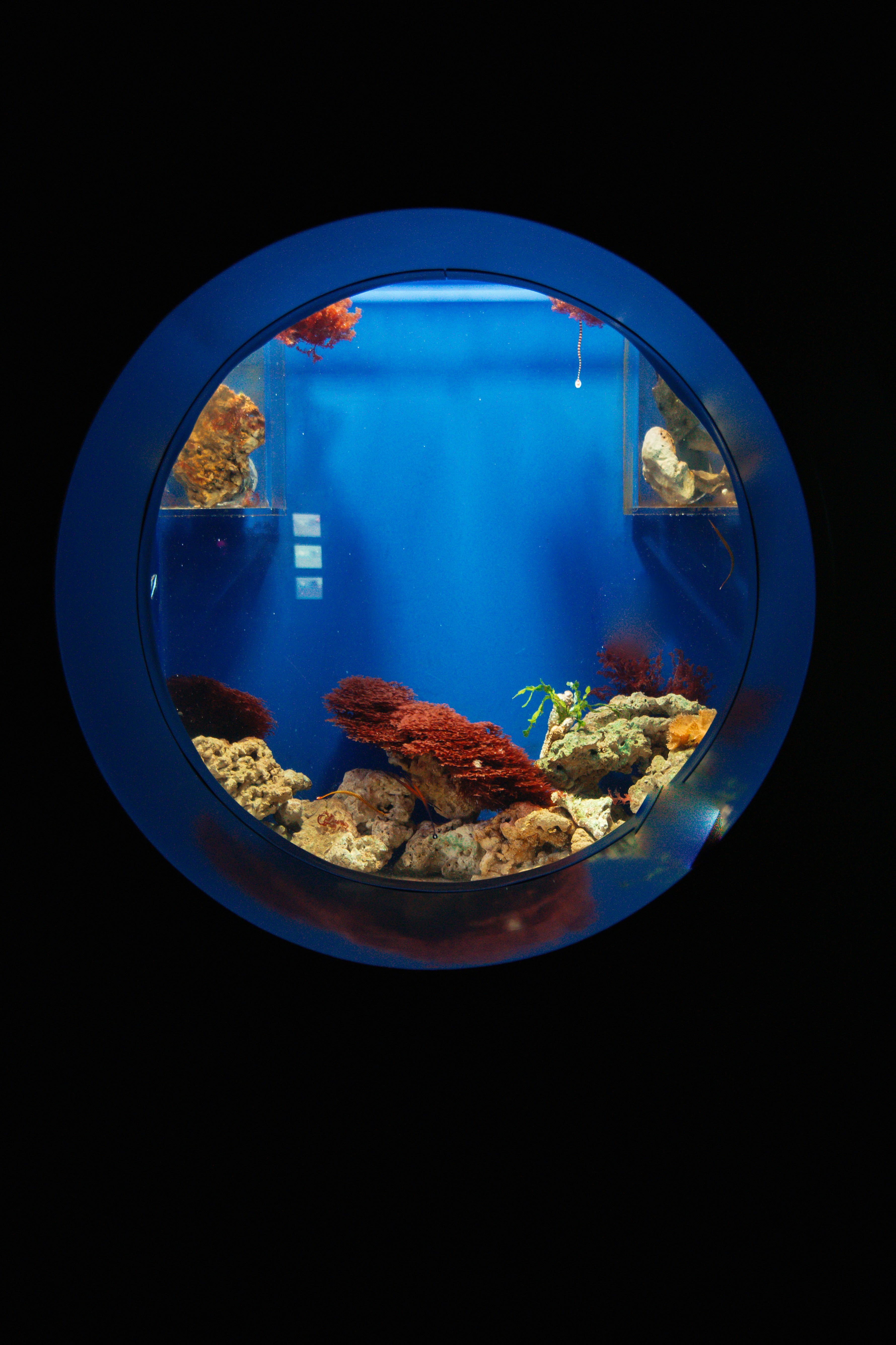 aquarium