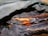 A close-up view of numerous layers of worn leather stacked together, showcasing varying textures and colors ranging from dark blacks and browns to lighter tans. The materials display a rugged, aged appearance with visible creases and rough edges.