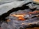 A close-up view of numerous layers of worn leather stacked together, showcasing varying textures and colors ranging from dark blacks and browns to lighter tans. The materials display a rugged, aged appearance with visible creases and rough edges.