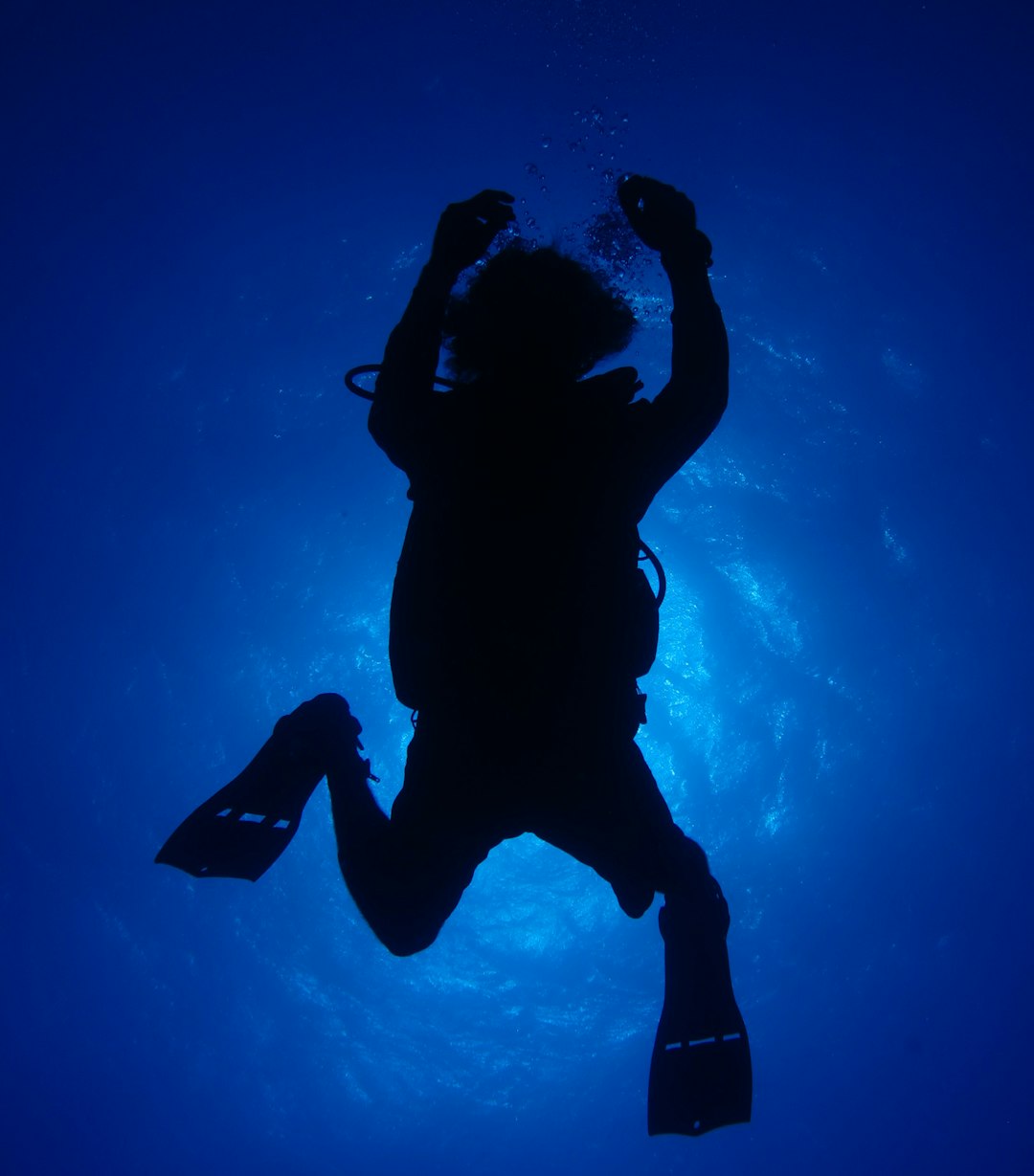 silhouette of person in under water photography of