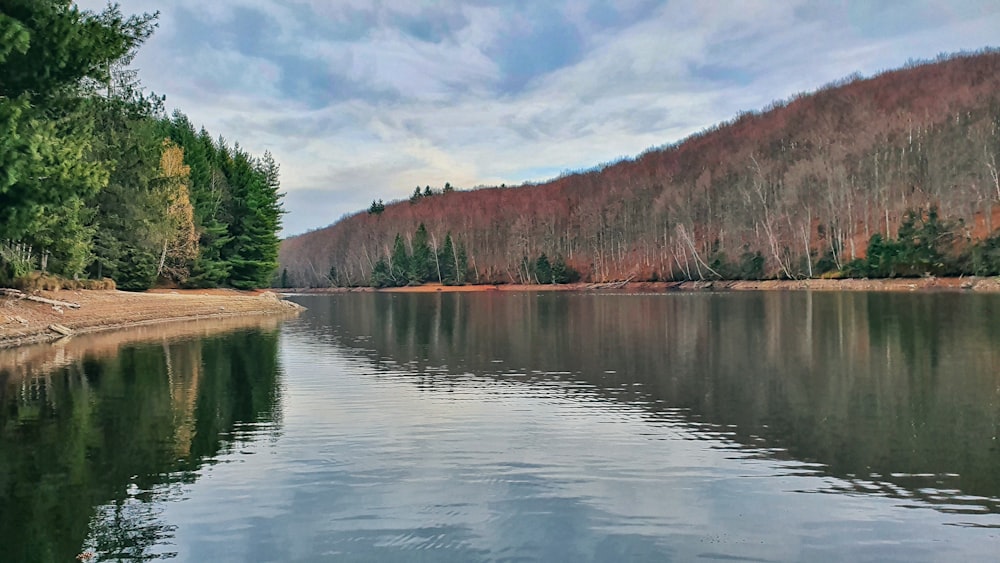 body of water during daytime