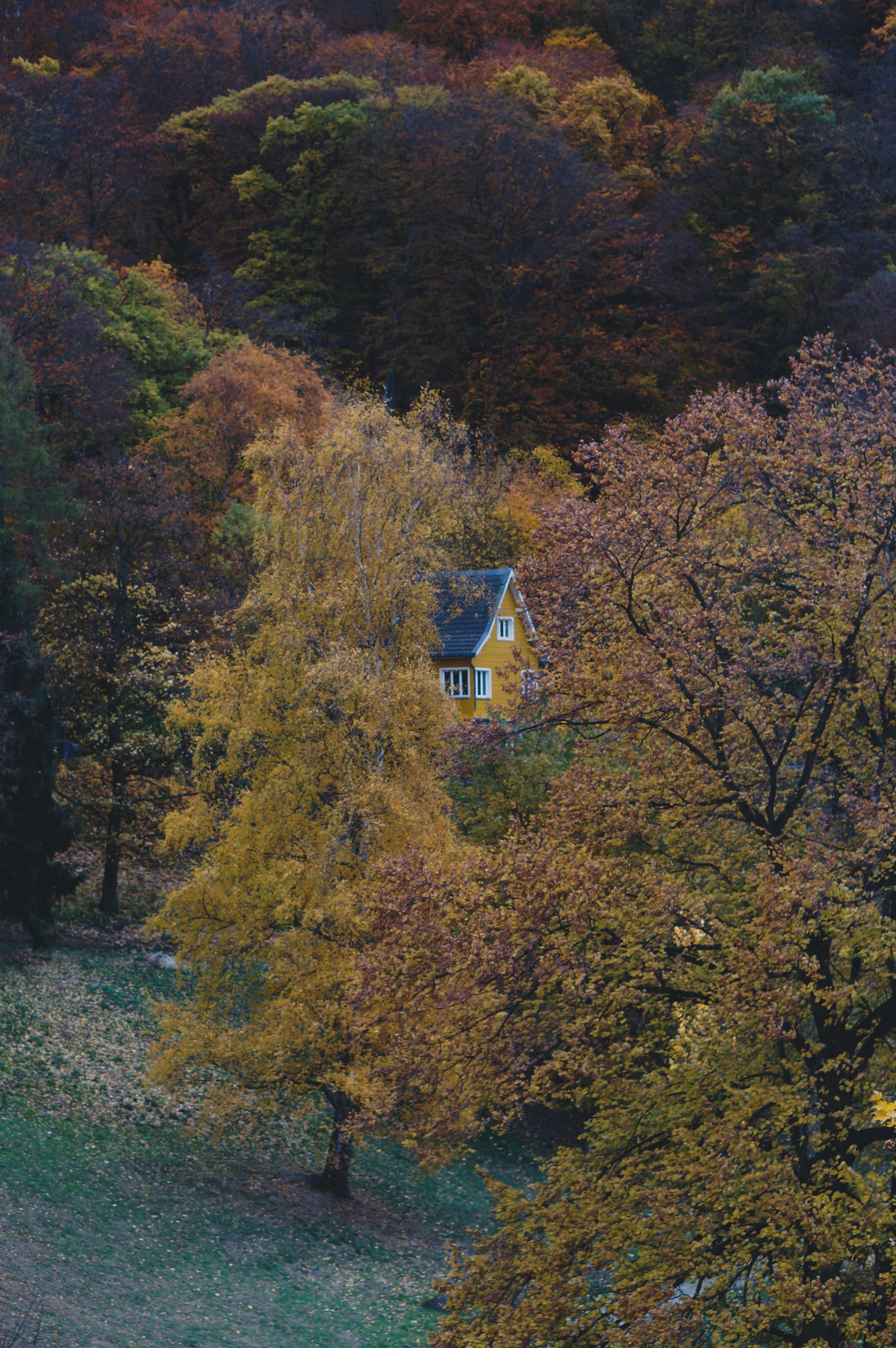 Photo by evgeeeenchik