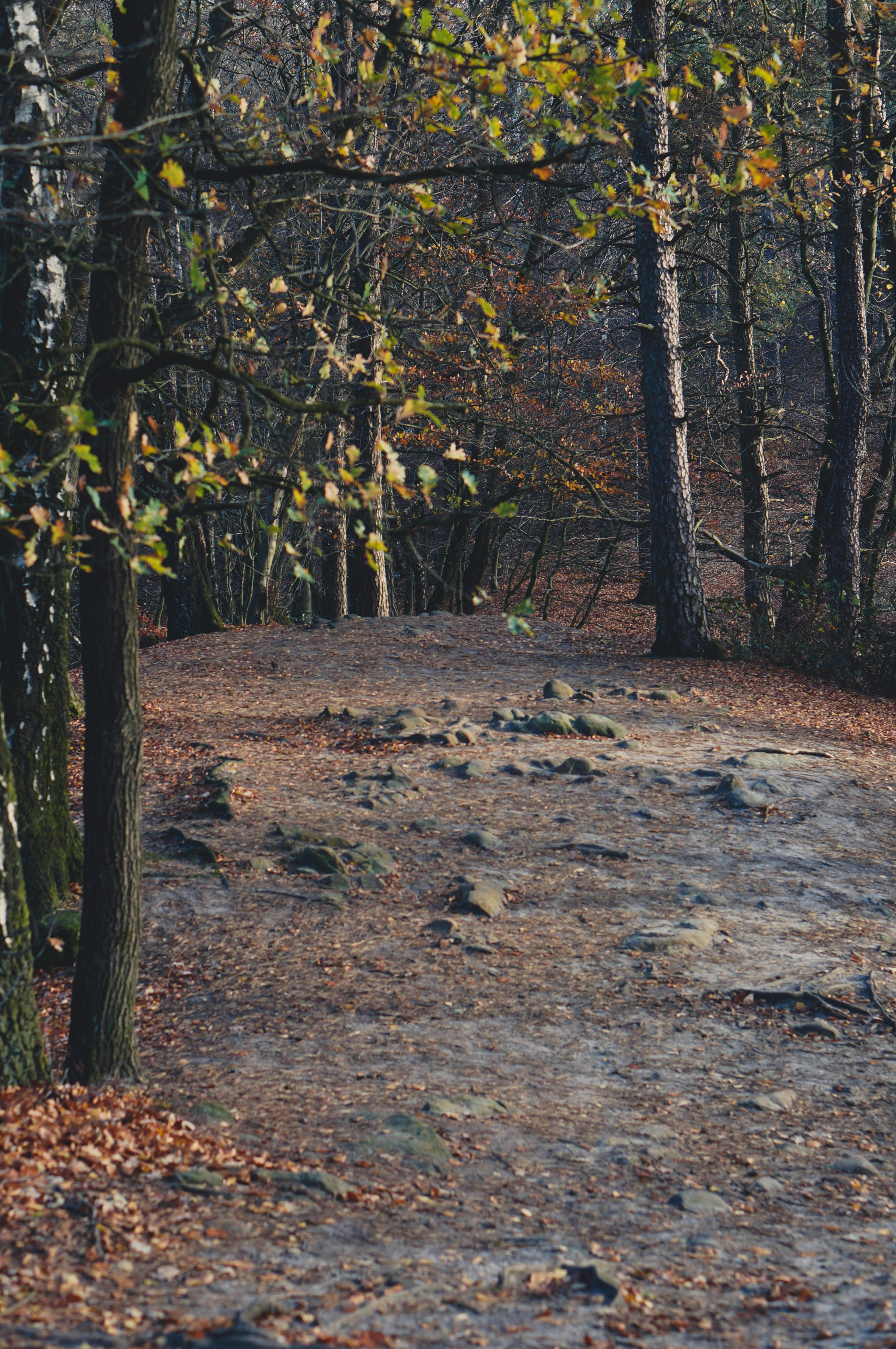 Photo by evgeeeenchik