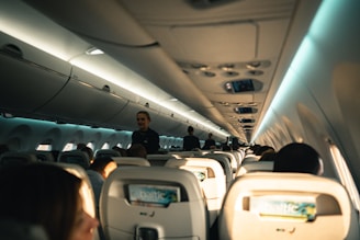 The interior of an airplane cabin is depicted, revealing rows of occupied seats with passengers seated. Overhead compartments are visible above the seating area. A flight attendant is standing in the aisle attending to passengers. The lighting suggests daytime, with natural light streaming through the windows and soft artificial lighting illuminating the cabin.