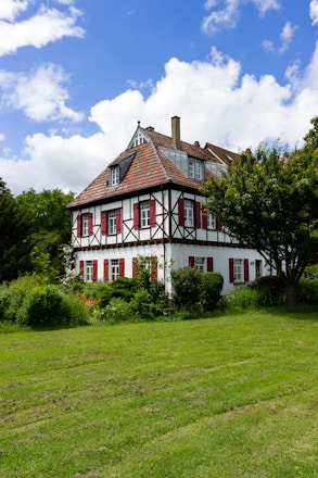 white and brown 3-storey house beside trees