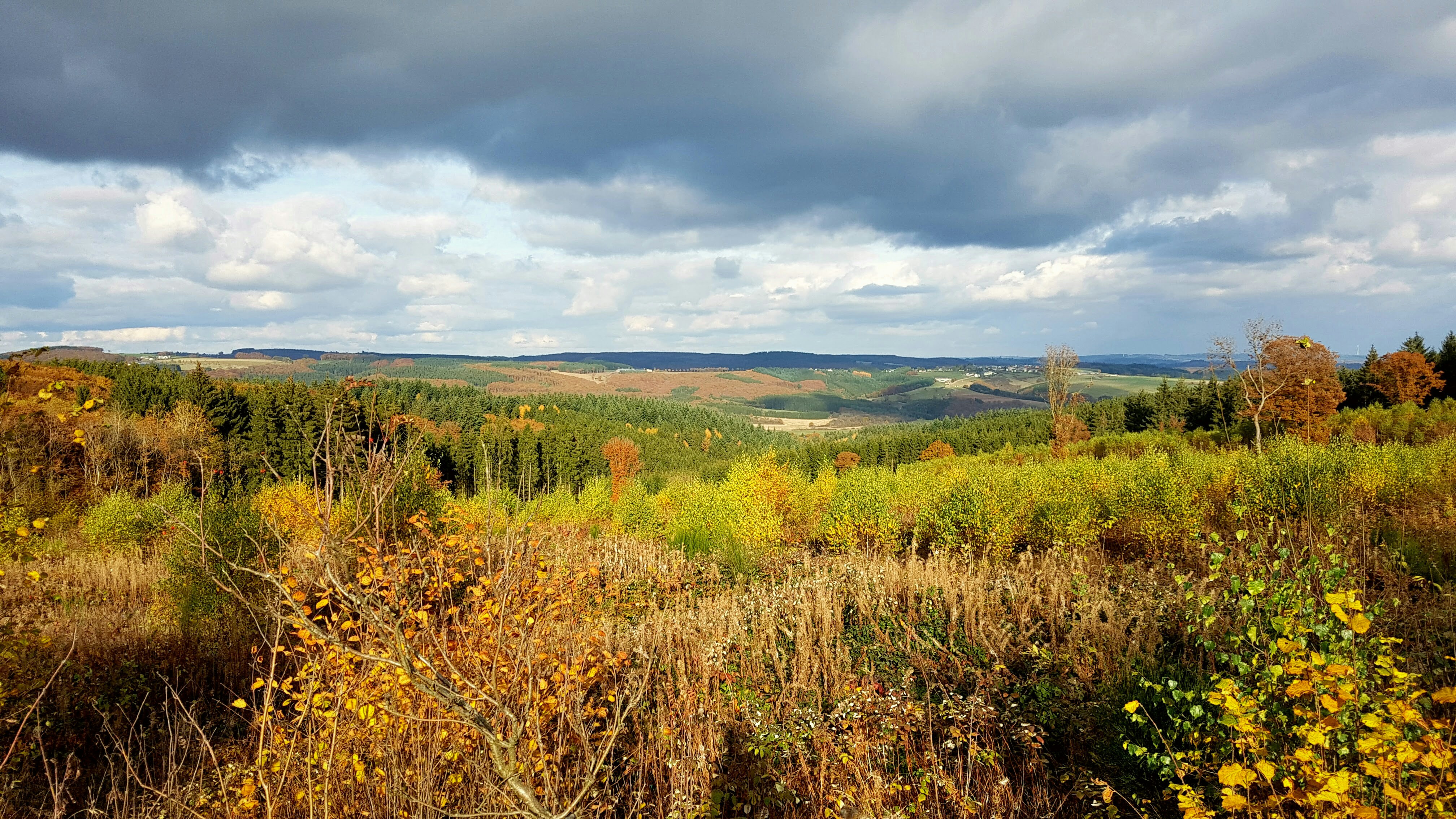 Photo by michelstock