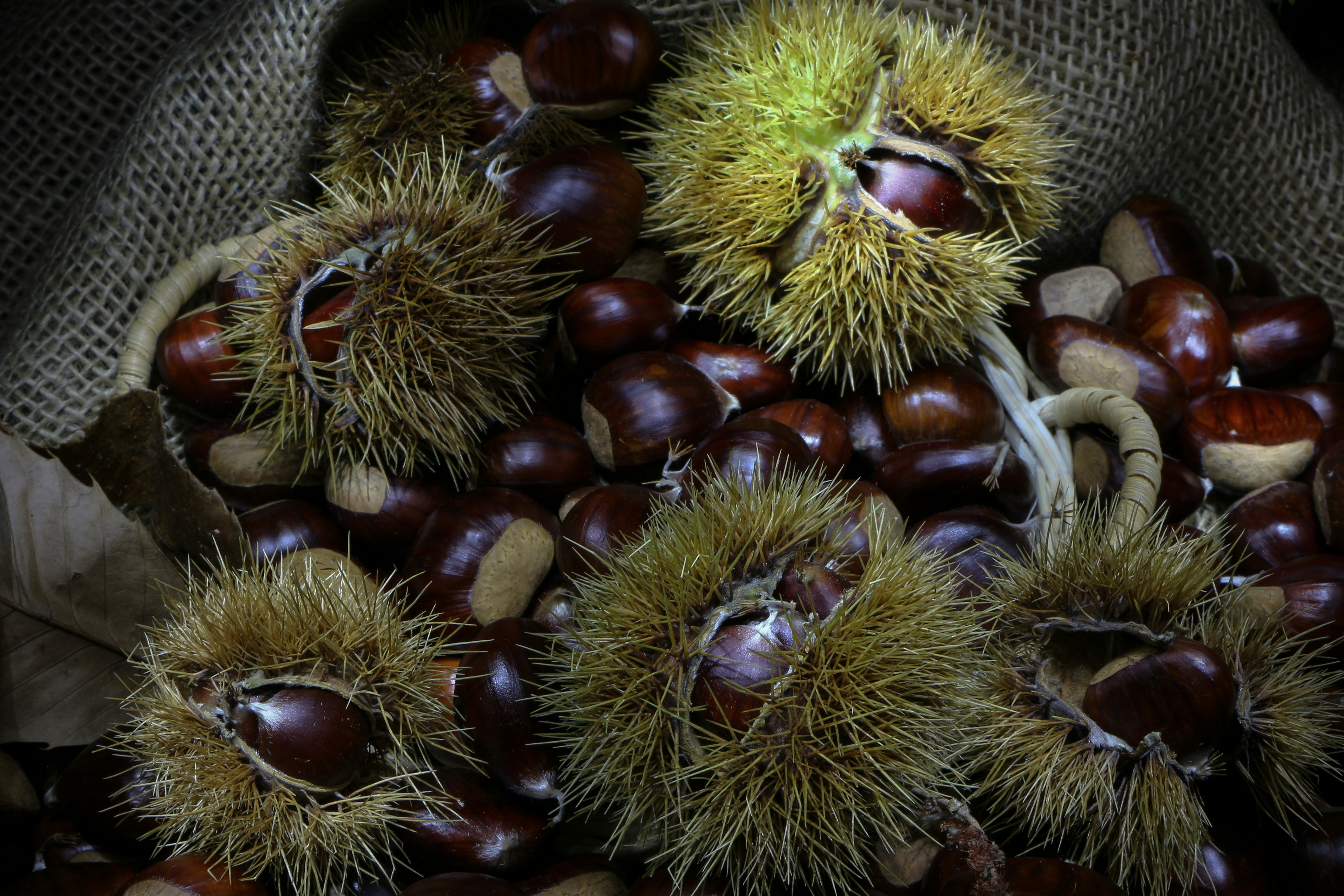 un bouquet de châtaignes qui sont dans un sac