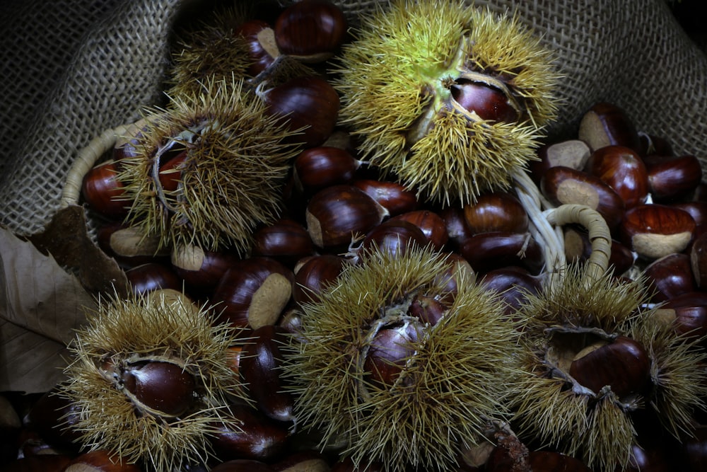 a bunch of chestnuts that are in a bag