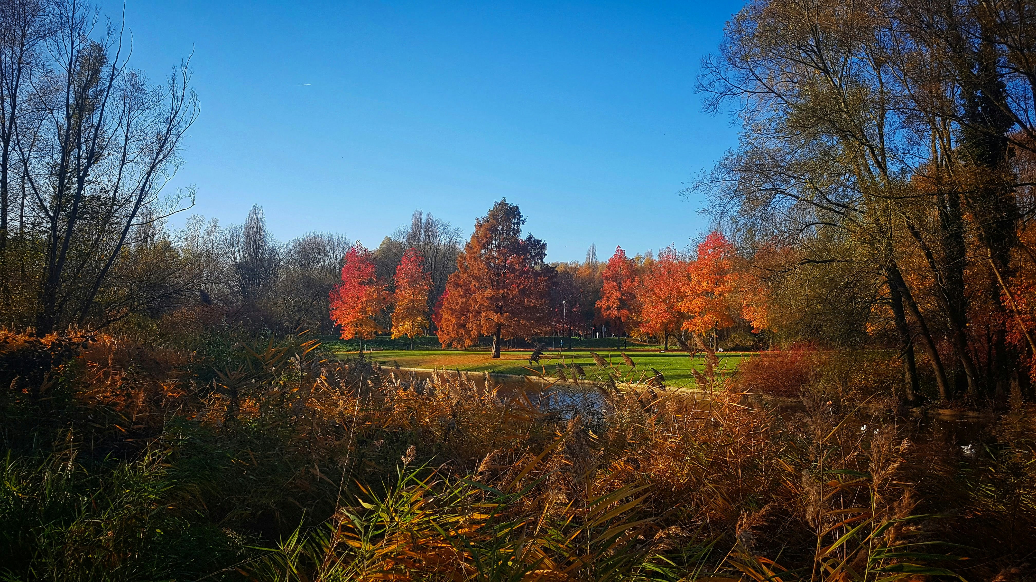 Photo by michelstock