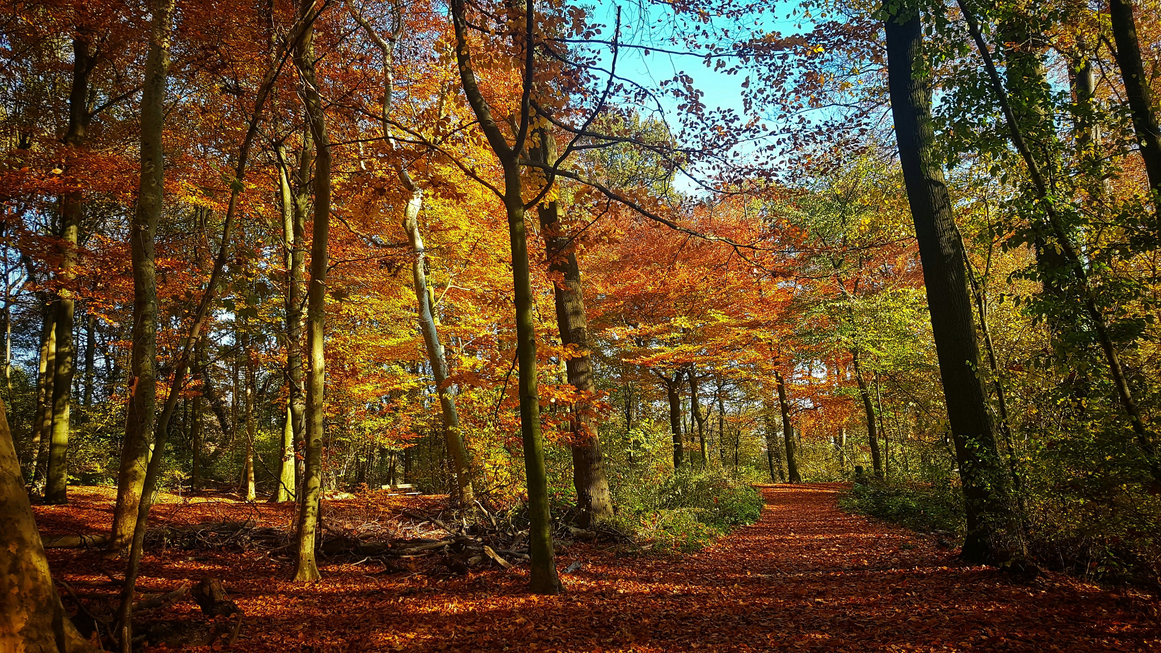 Photo by michelstock