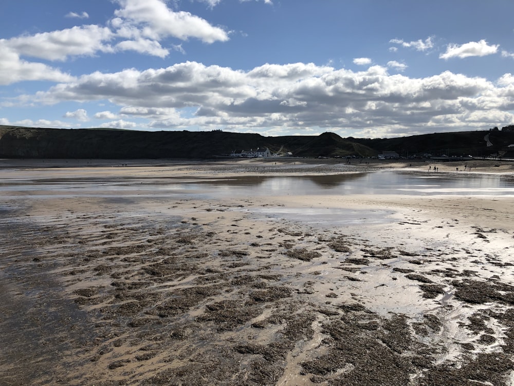 landscape photography of low-tide beach shore