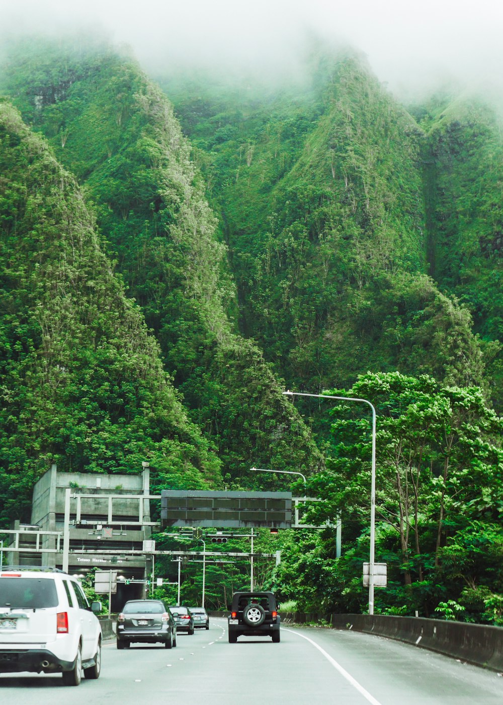 vehicles on road