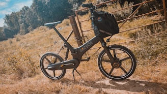 A modern bicycle with a sleek design is positioned sideways in a grassy field, against the backdrop of a wooden fence and dense green trees. The bicycle features a black frame and a bag attached to the front, suggesting it is ready for travel or commuting.