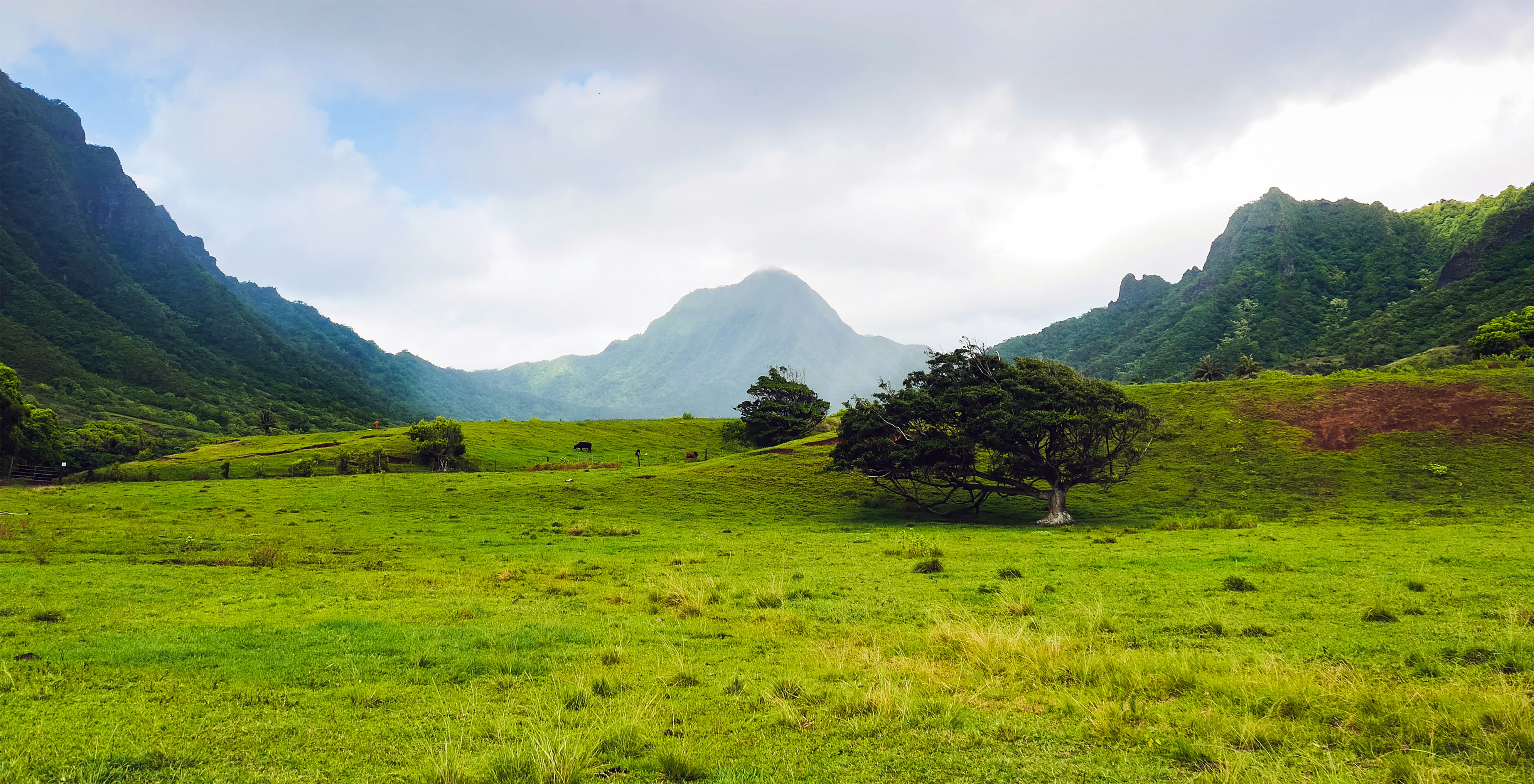 Photo by cosminserban