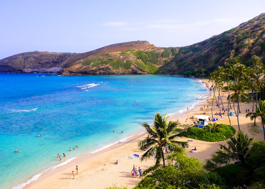 aerial photography of people in white sand beach, The Hanauma Bay tropical beach in Hawaii.