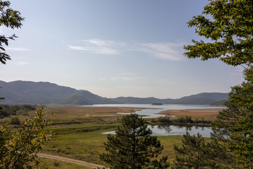 body of water beside trees and mountain