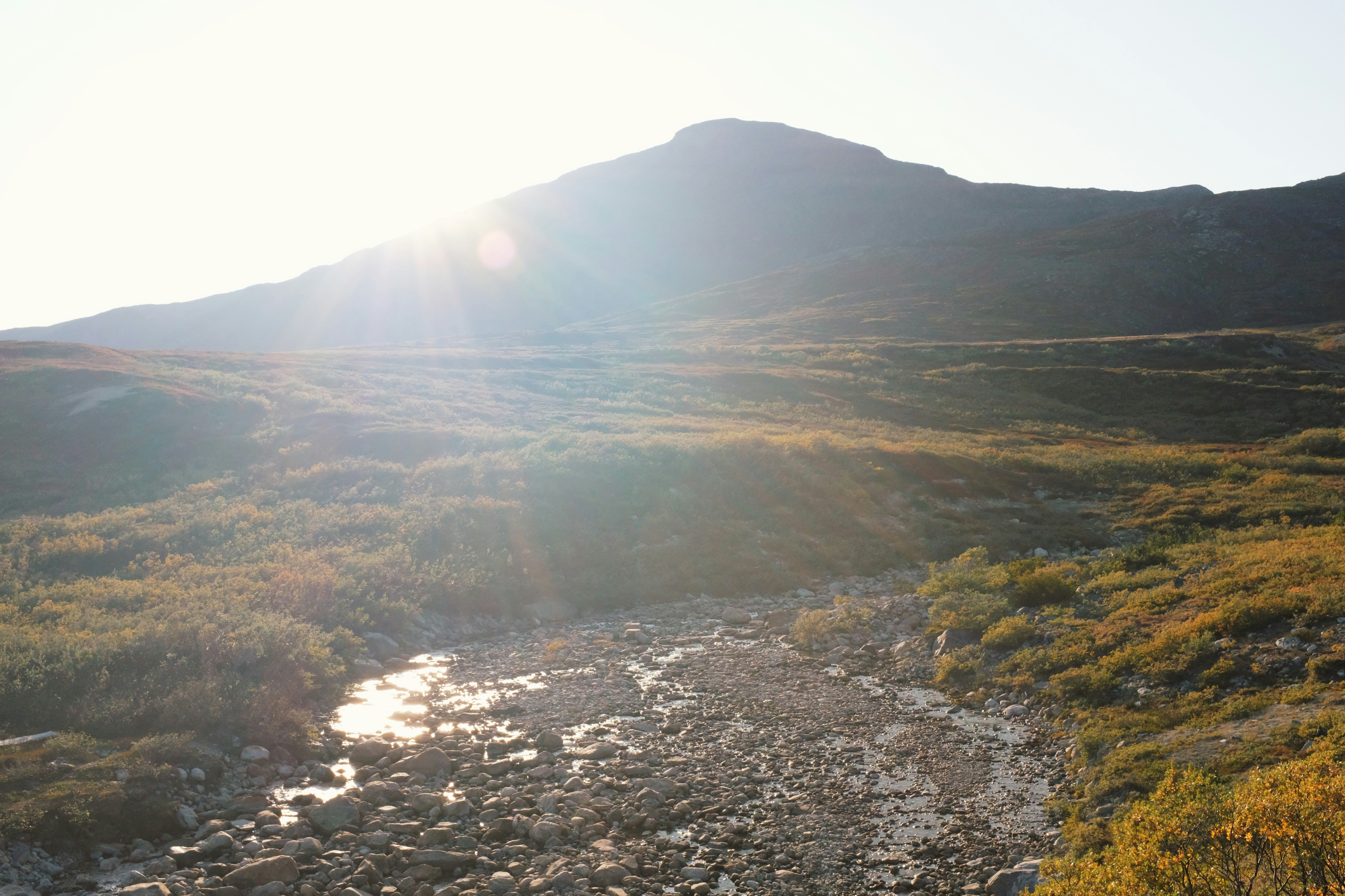 Photo by visitgreenland