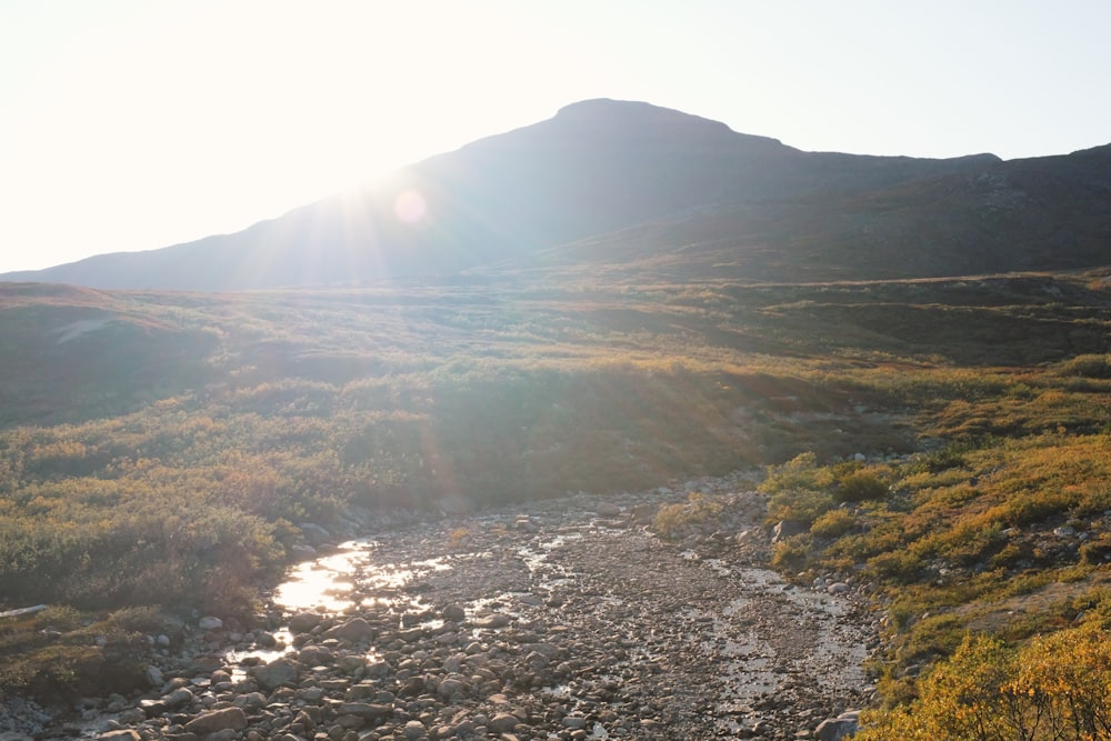 stream near mountain during daytime