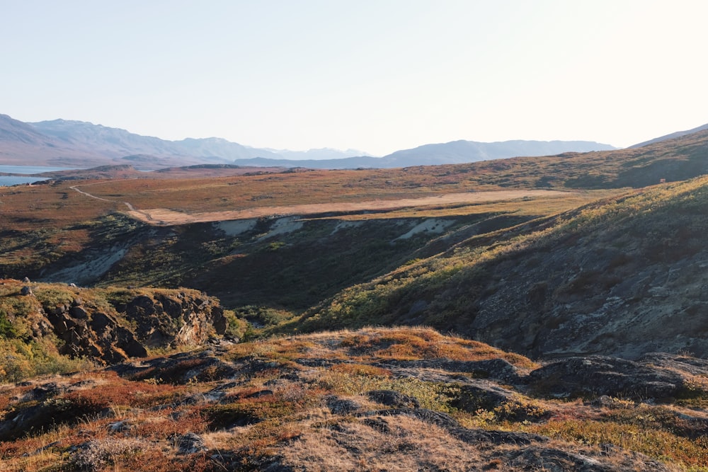 aerial photography of field viewing mountain under blue and white sky