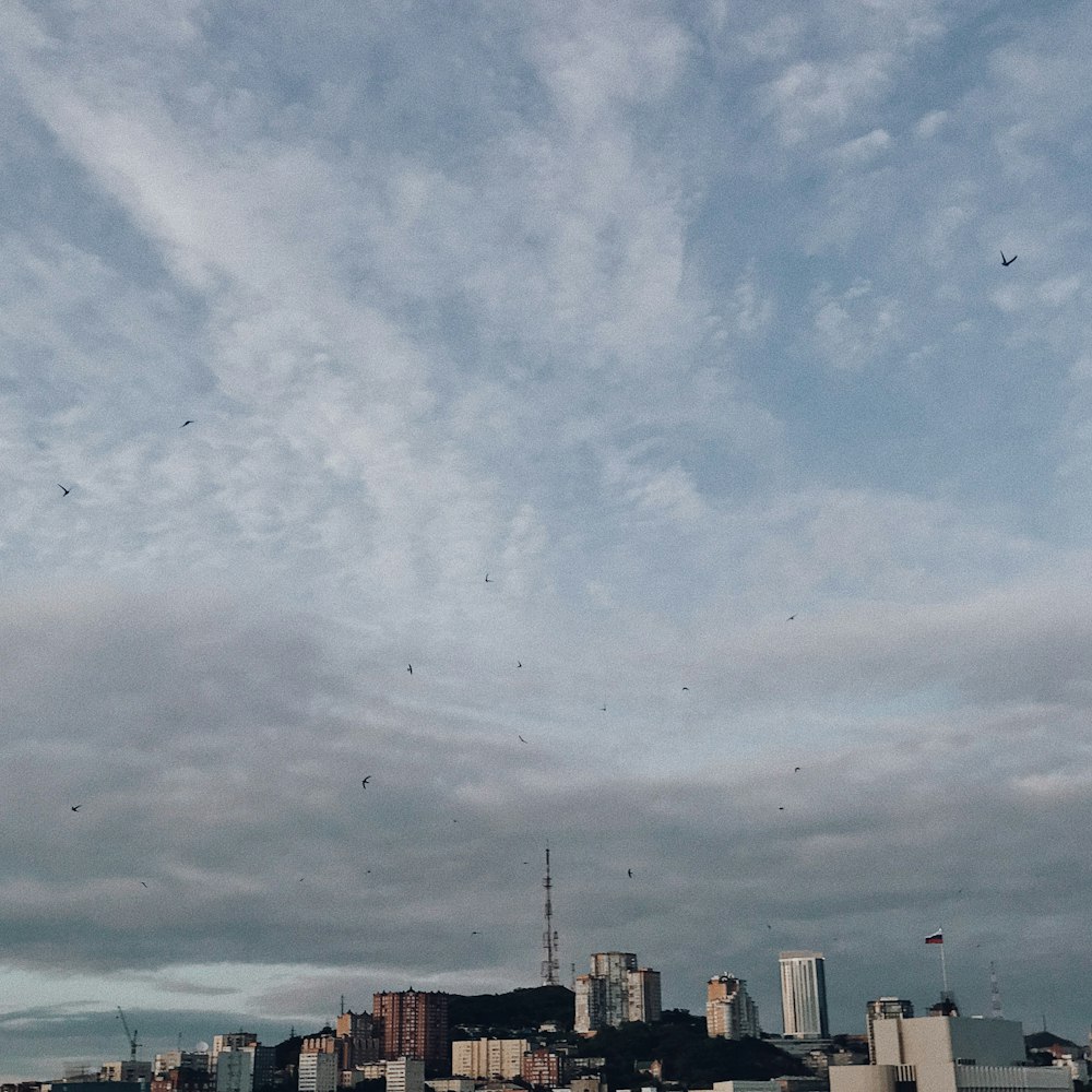 birds over buildings during daytime