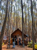 Tall, slender trees stretch up towards the sky, creating a dense forest setting. A small wooden hut stands beneath the trees, with a group of people gathered around it. The scene suggests an entrance or checkpoint in a natural park or forest preserve. Signs in the native language are visible, indicating conservation efforts and rules for visitors.