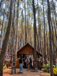 Tall, slender trees stretch up towards the sky, creating a dense forest setting. A small wooden hut stands beneath the trees, with a group of people gathered around it. The scene suggests an entrance or checkpoint in a natural park or forest preserve. Signs in the native language are visible, indicating conservation efforts and rules for visitors.