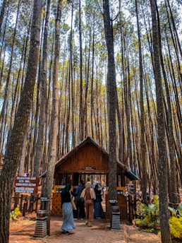 Tall, slender trees stretch up towards the sky, creating a dense forest setting. A small wooden hut stands beneath the trees, with a group of people gathered around it. The scene suggests an entrance or checkpoint in a natural park or forest preserve. Signs in the native language are visible, indicating conservation efforts and rules for visitors.