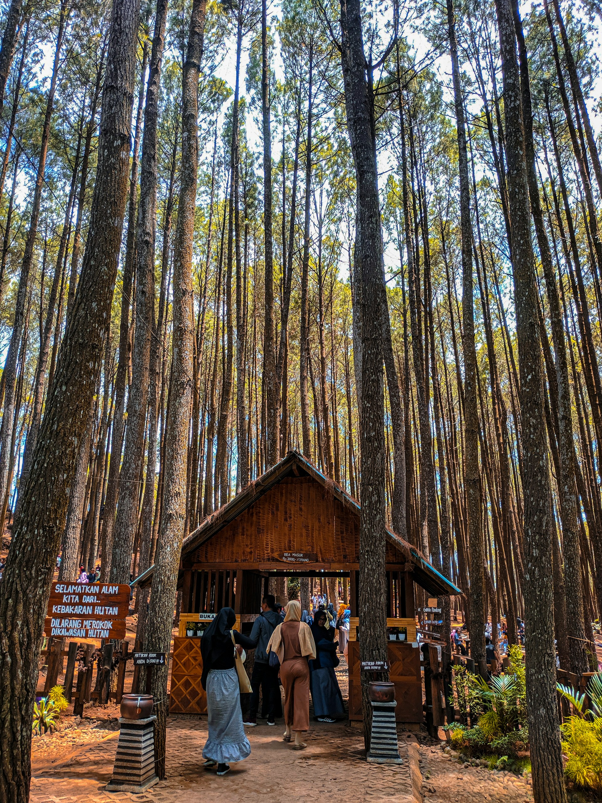 gray computer monitor