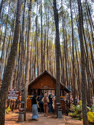 Tall, slender trees stretch up towards the sky, creating a dense forest setting. A small wooden hut stands beneath the trees, with a group of people gathered around it. The scene suggests an entrance or checkpoint in a natural park or forest preserve. Signs in the native language are visible, indicating conservation efforts and rules for visitors.