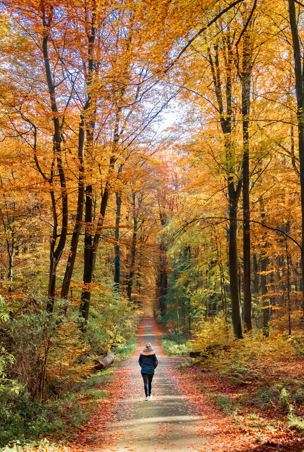 woman walking on road with trees on side