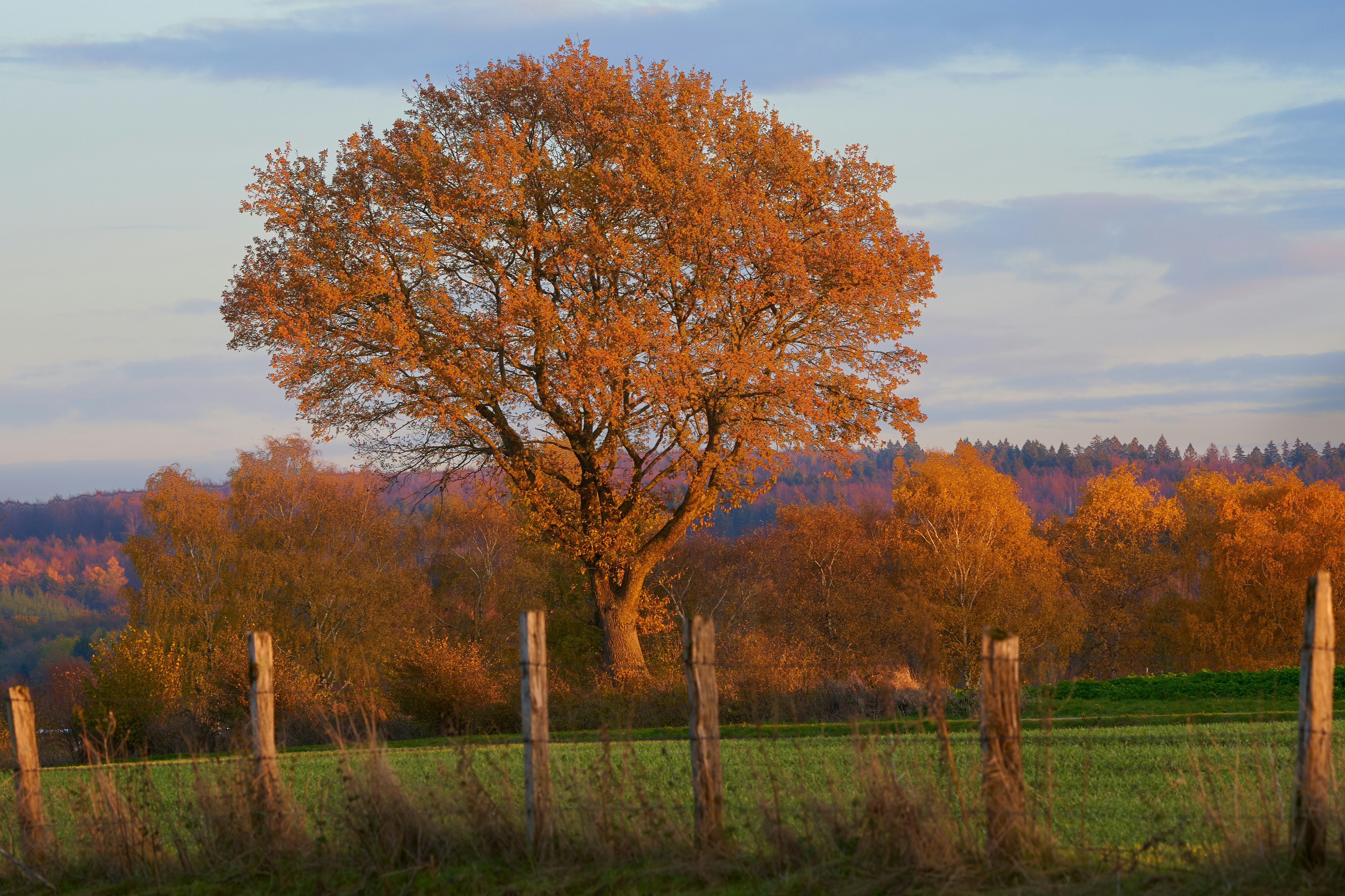 Photo by ingodoerrie
