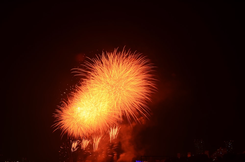 firework display photograph