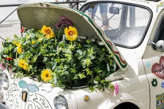 plants on vehicles trunk