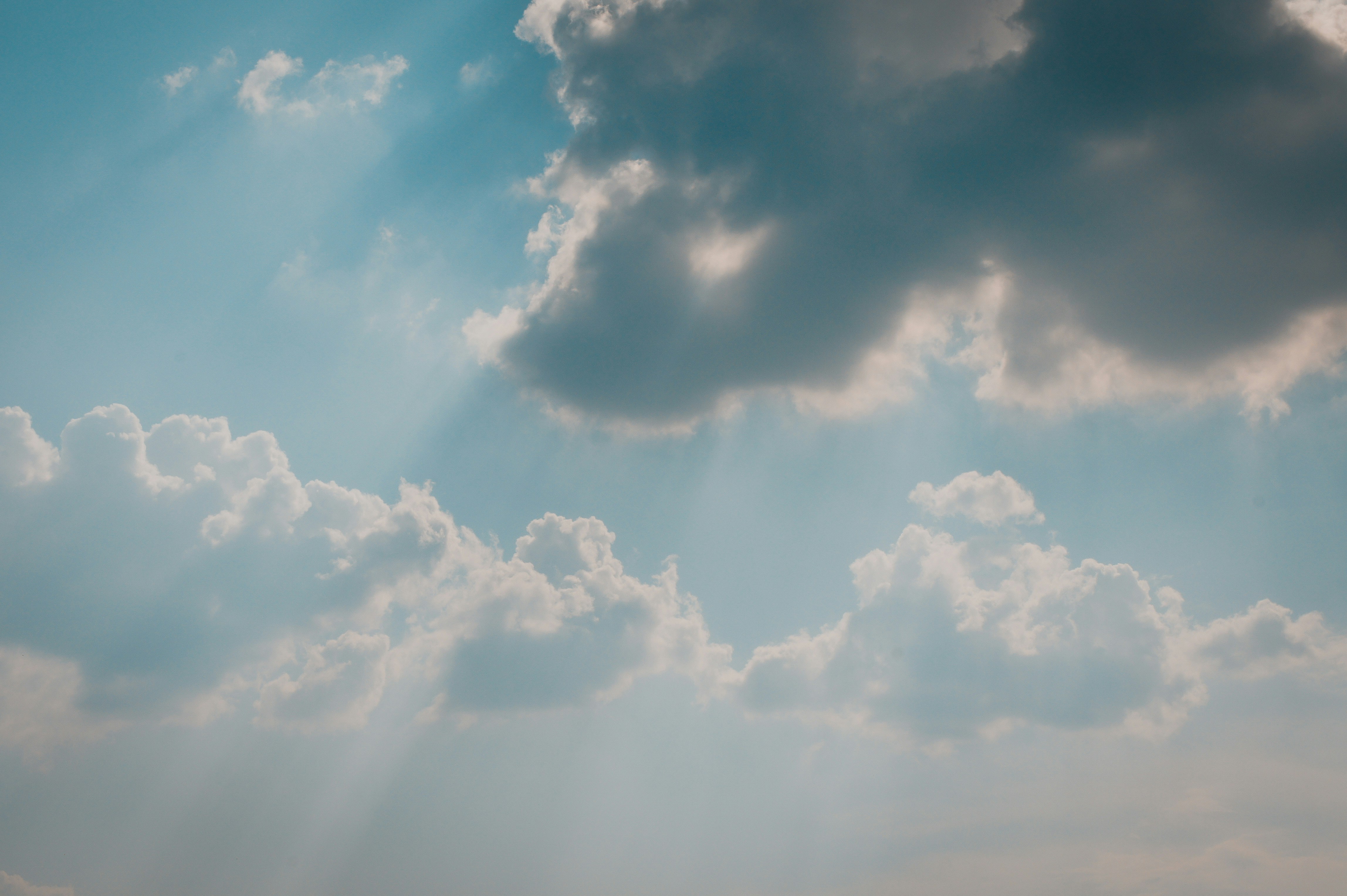 Photo by michelstock