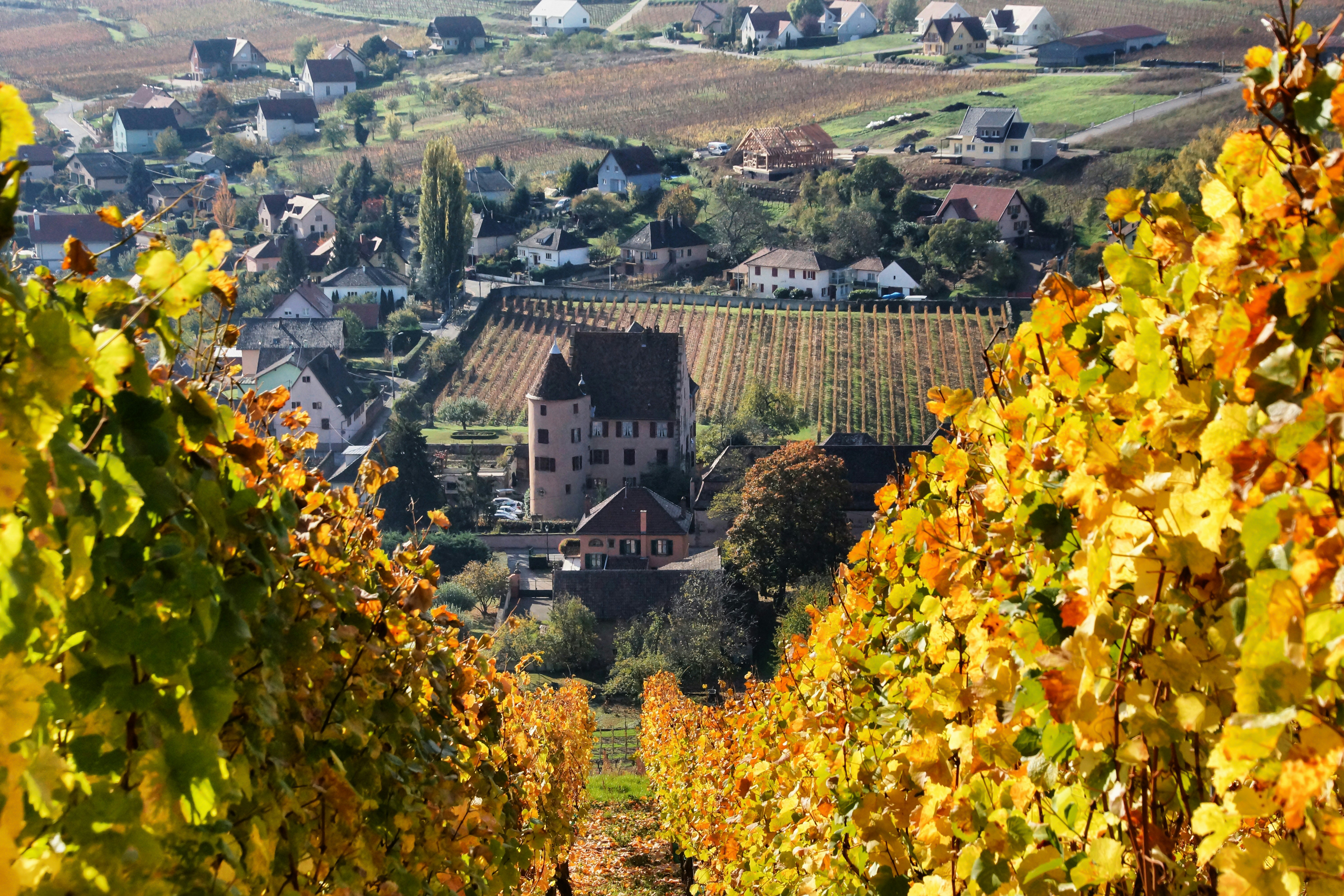 Photo by michelstock