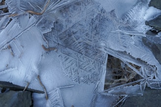 Close-up of an intricate ice logo design with delicate carvings and sharp edges.