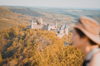 An imaginative landscape from a storybook, featuring castles and dragons.