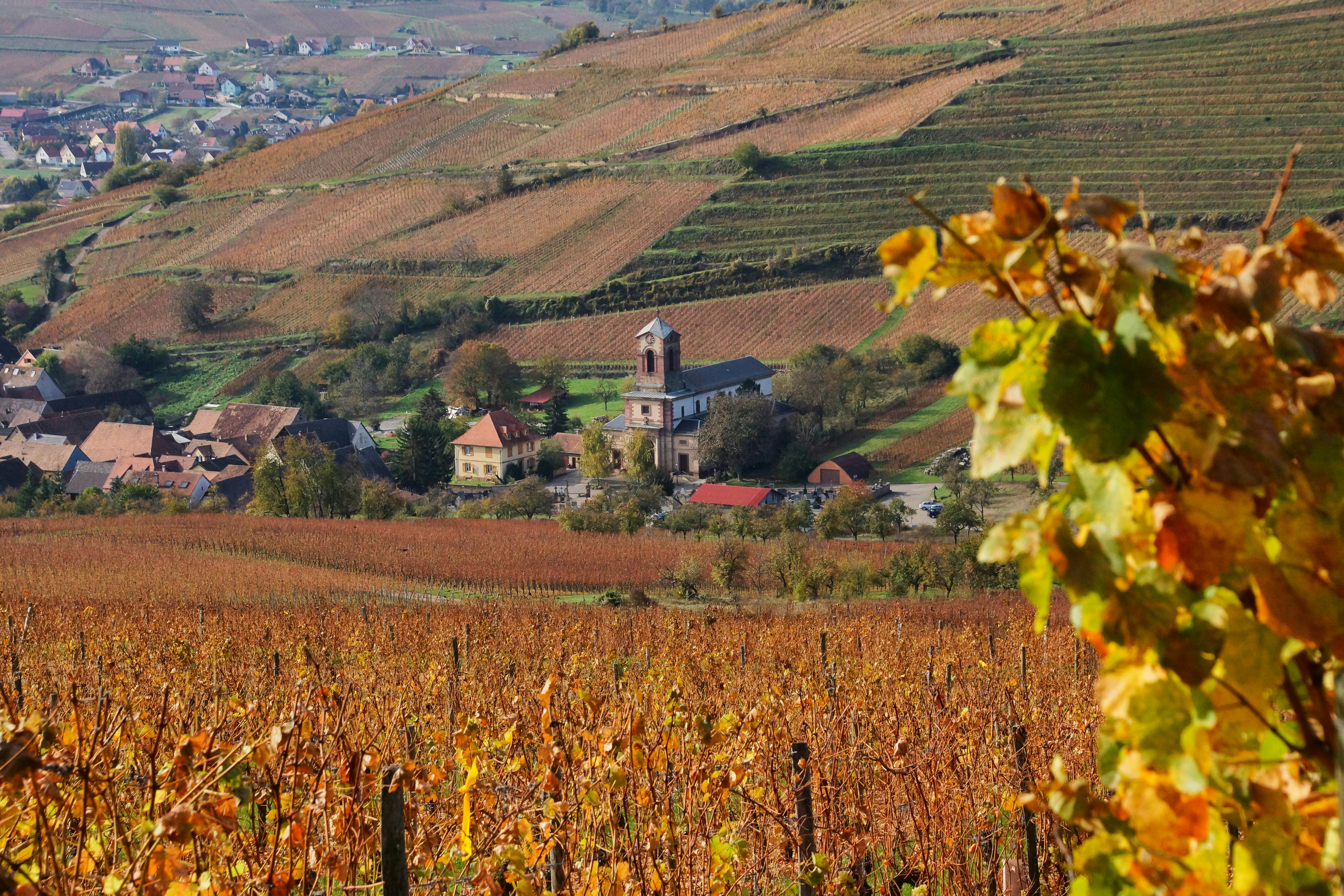 Photo by michelstock