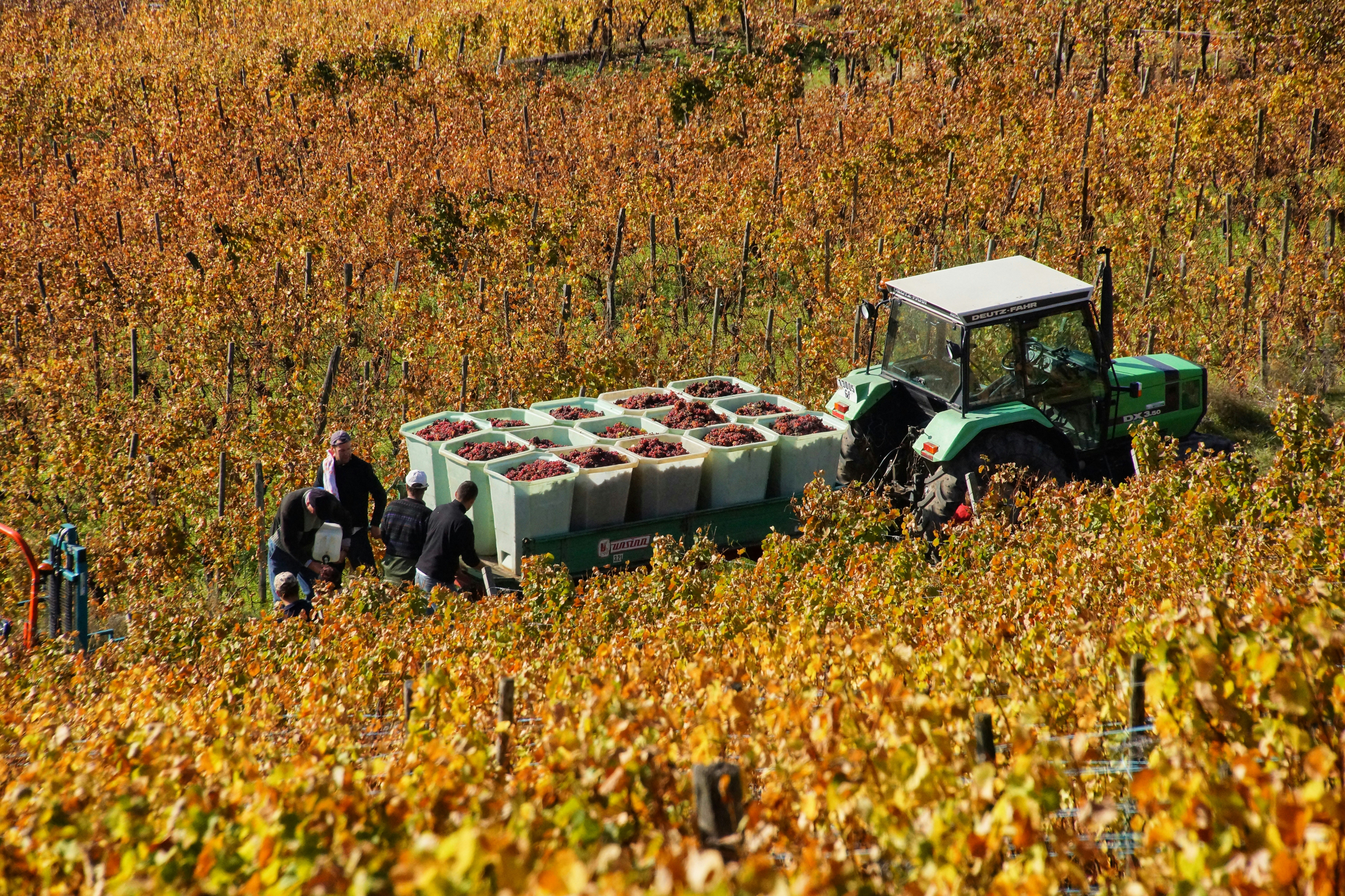 green tractor on the field