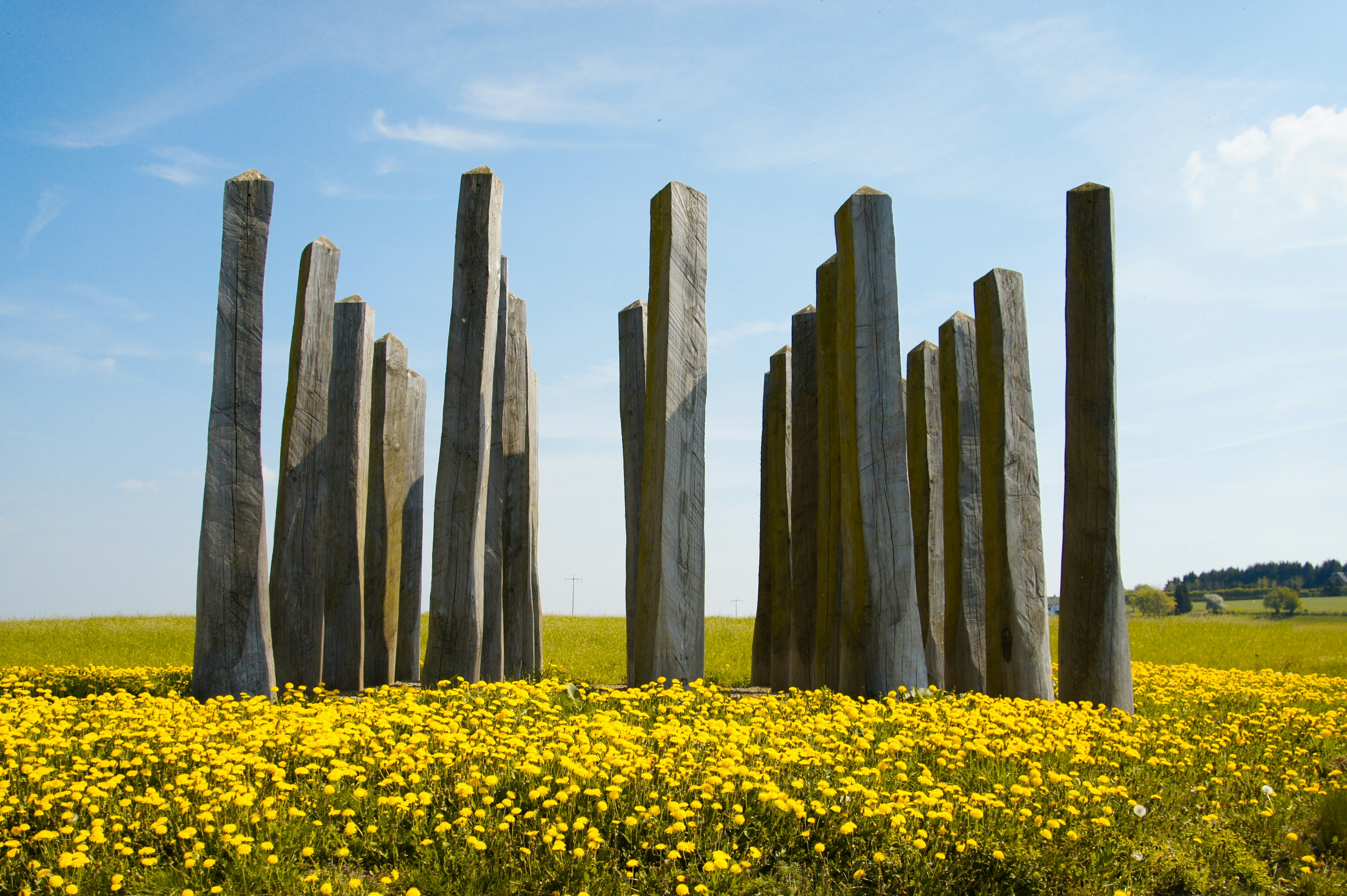 Photo by michelstock